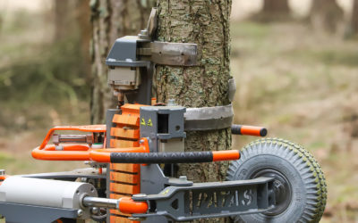 Maschine zum Entasten von Bäumen als Weltneuheit vorgestellt